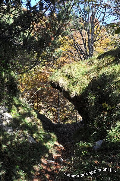 035 Val Vedra.JPG
